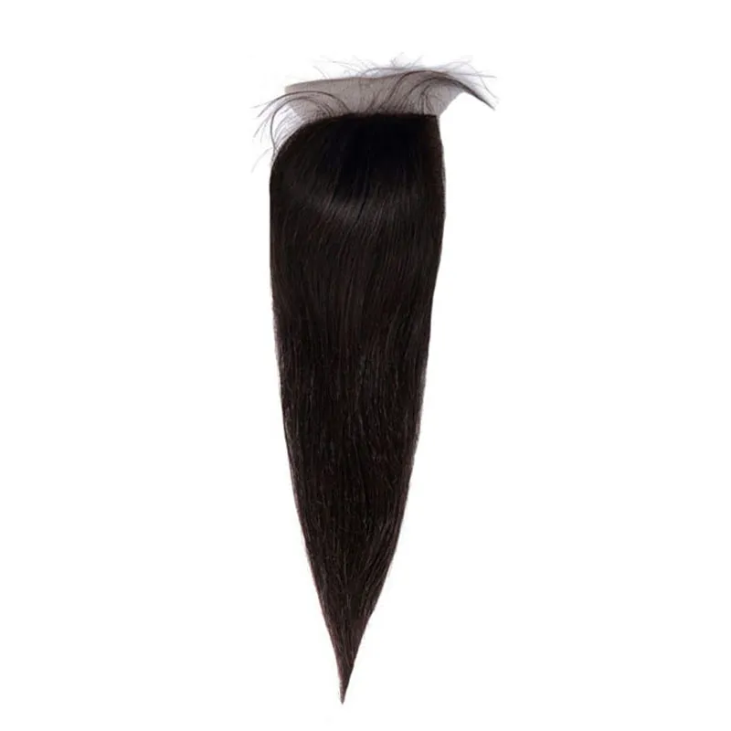 3 Bundles With a Silk Closure 4×4 Straight Hair Virgin Hair Extensions