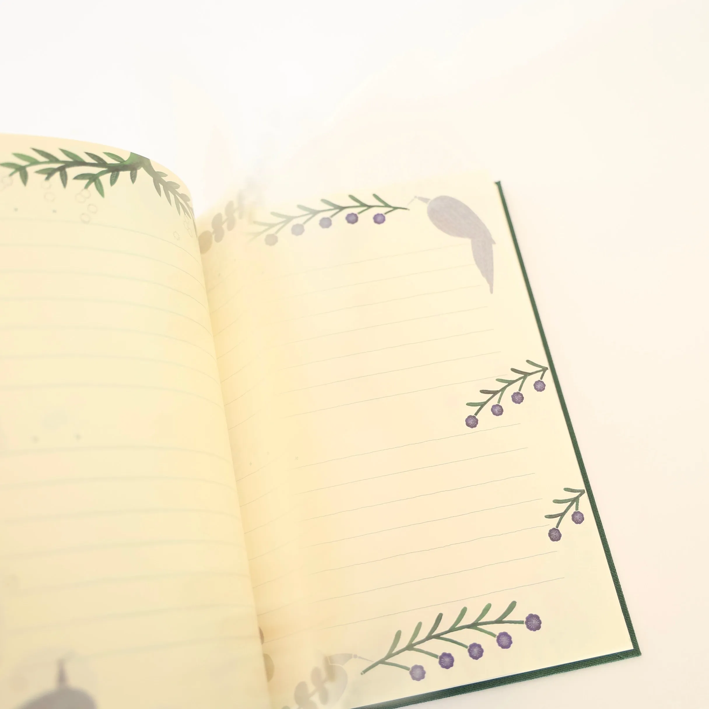 Clothbound Diary