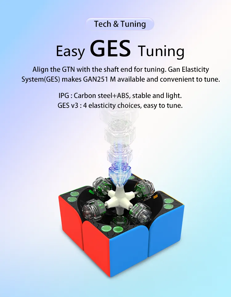 GAN 251 M 2x2