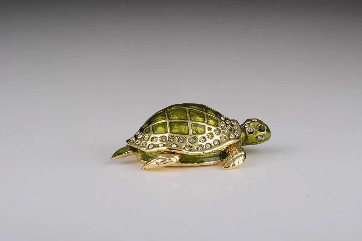 Green Sea Turtle