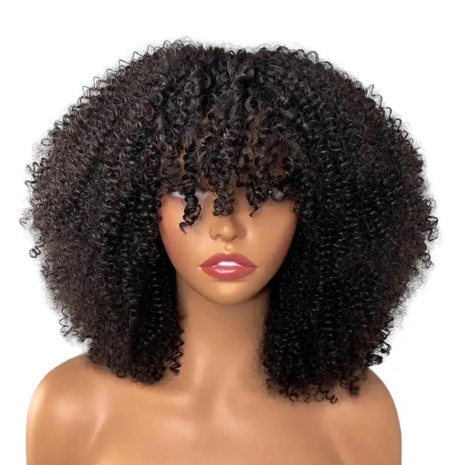 Kinky Curly Closure Wig