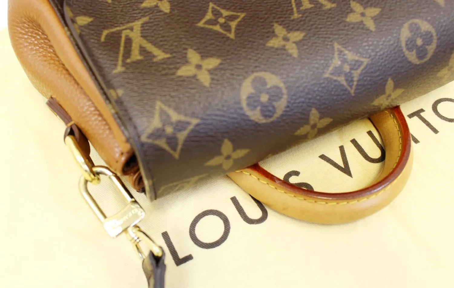 LOUIS VUITTON Monogram Canvas Celeste Eden PM Shoulder Bag - Final Call