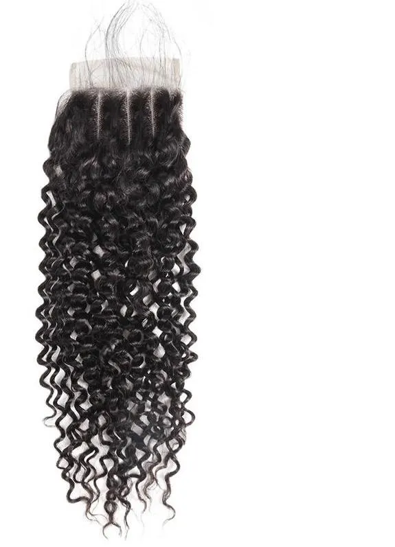 Malaysian Curly 4"x4" Lace Closure