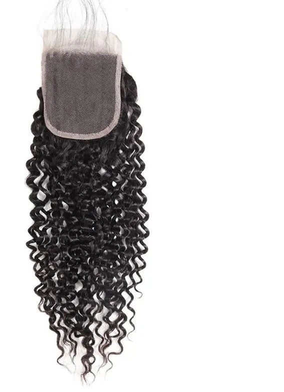 Malaysian Curly 4"x4" Lace Closure