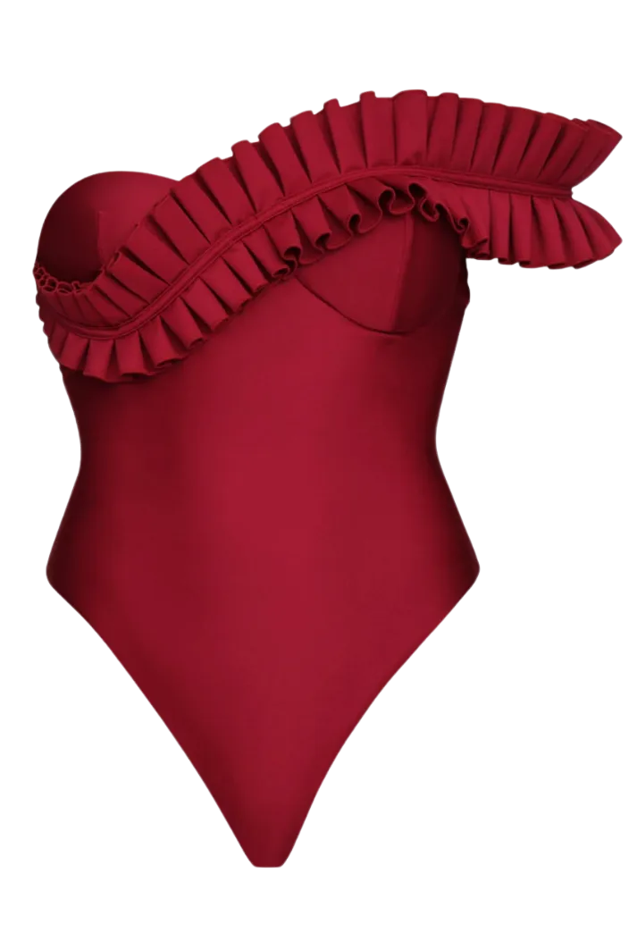 Nisi Wine One Piece Swimsuit