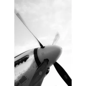 P-51D Steven Greenwald Print