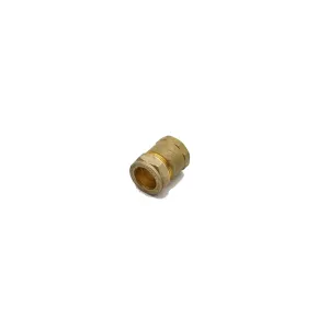 PrimaPlus Dzr Compression Adaptor 22mm x 3/4" Female (Pack of 10)