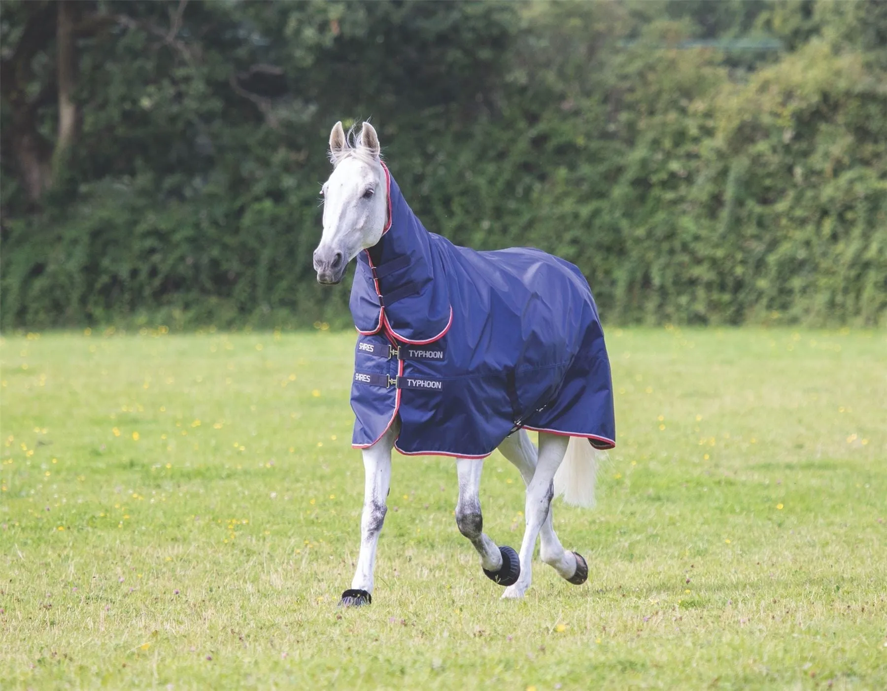 Shires Typhoon 100 Combo Turnout Rug