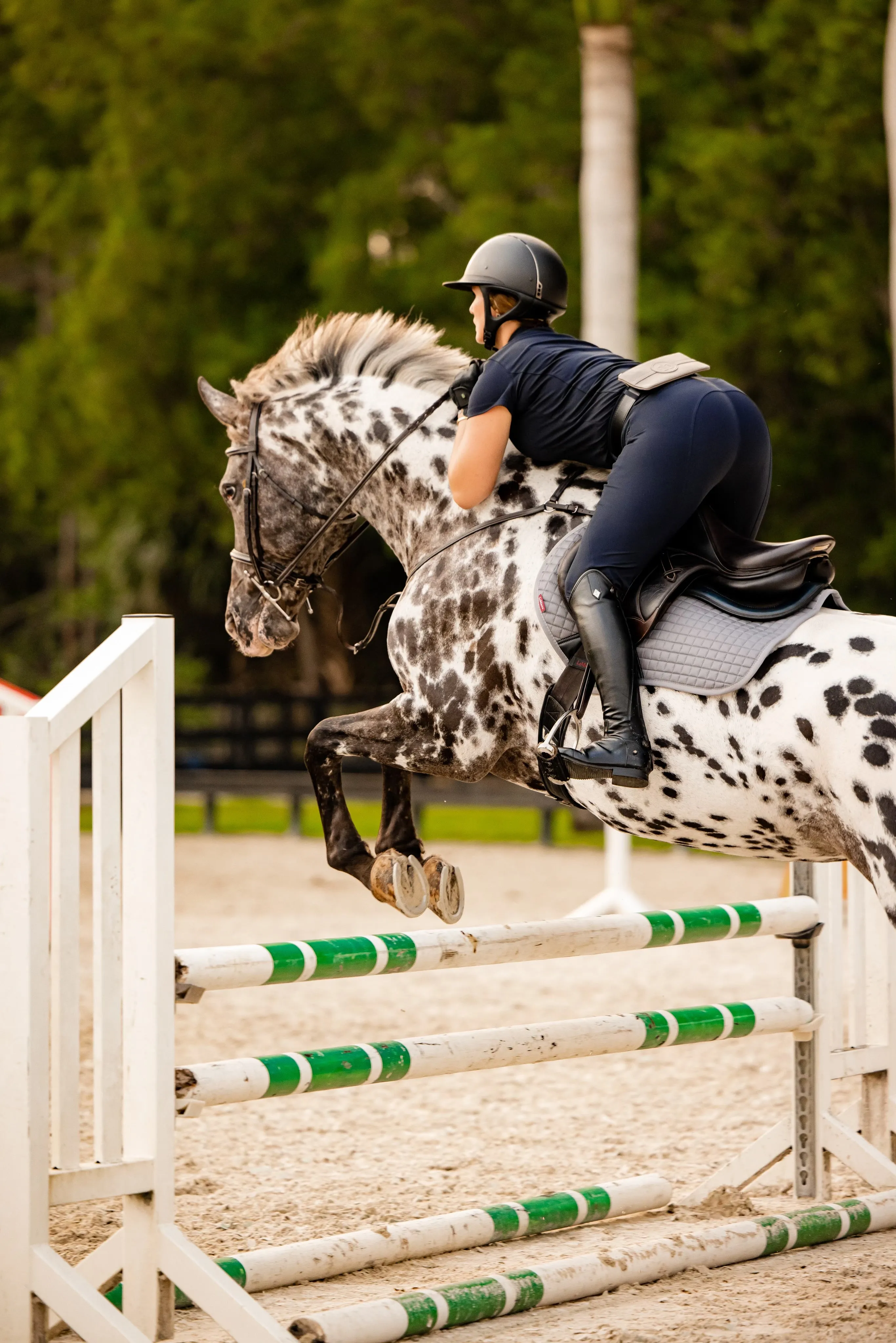 Stablemate