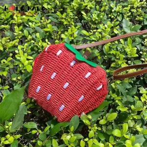 Strawberry Crossbody Bag: Summer Beach Purse