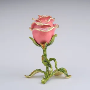 Valentine Pink Rose