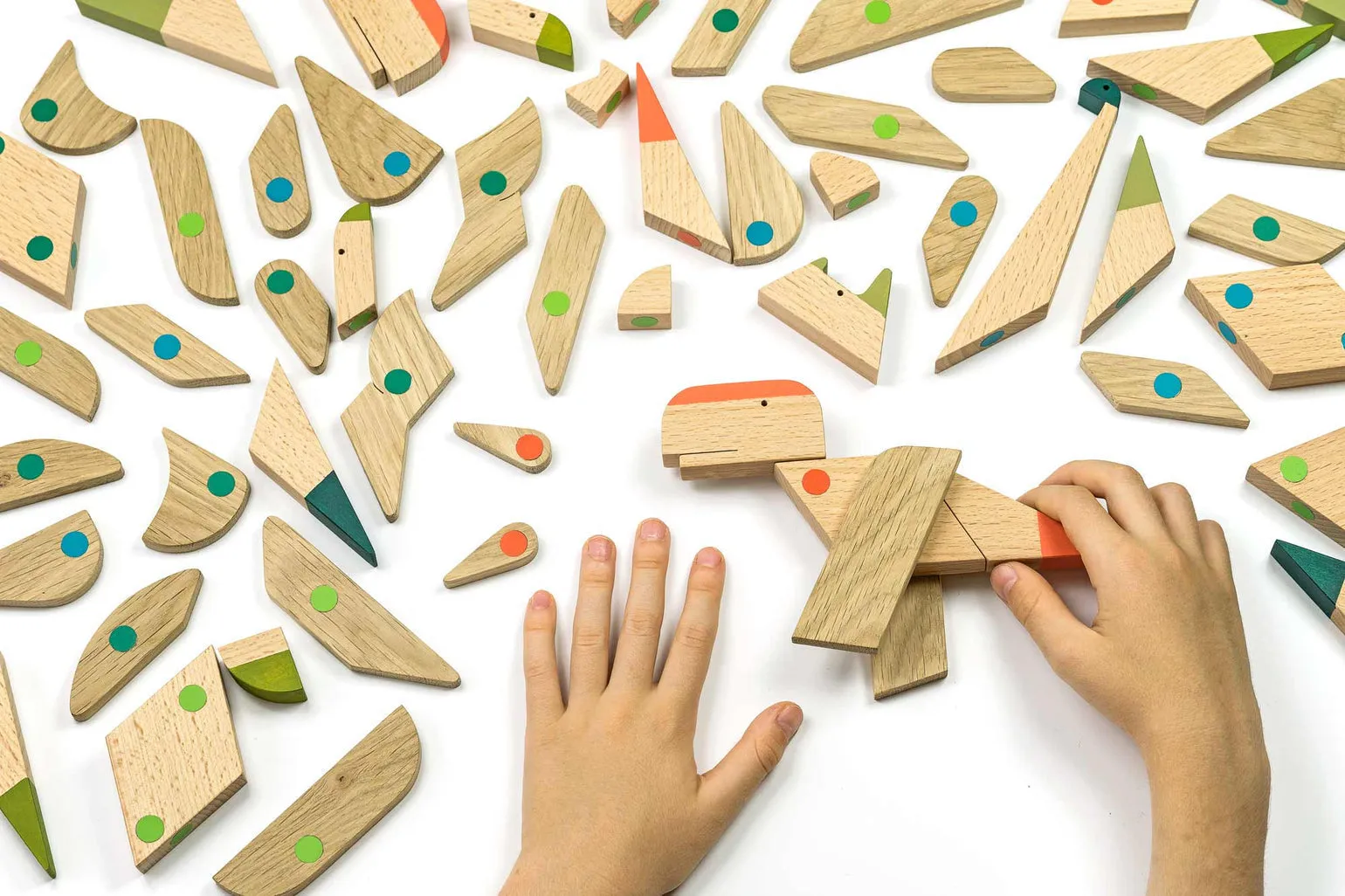 Wooden Magnetic Brachiosaurus
