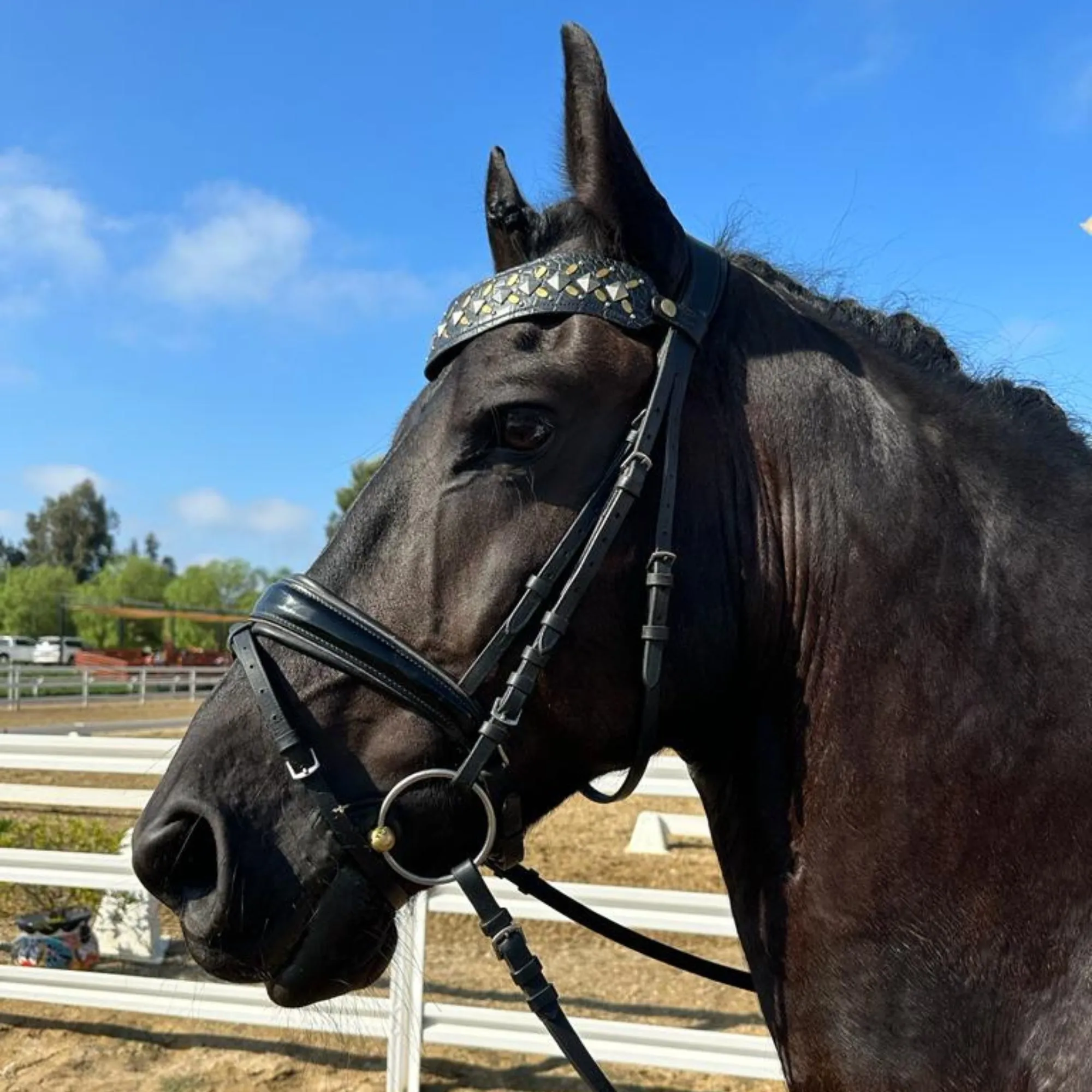 Zahara Browband