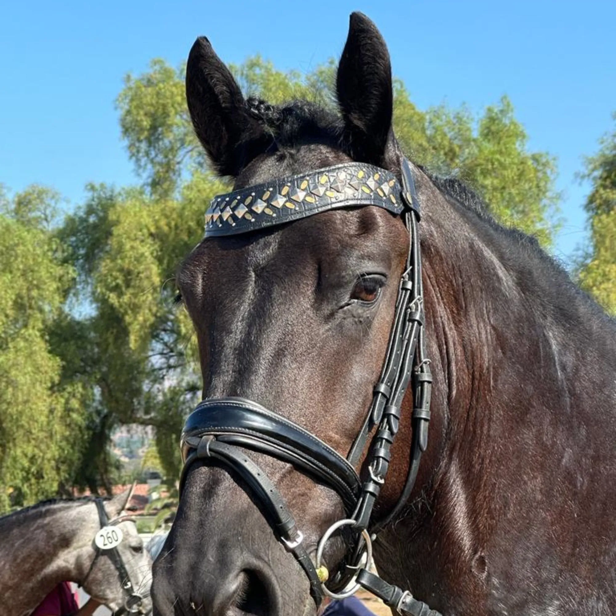 Zahara Browband