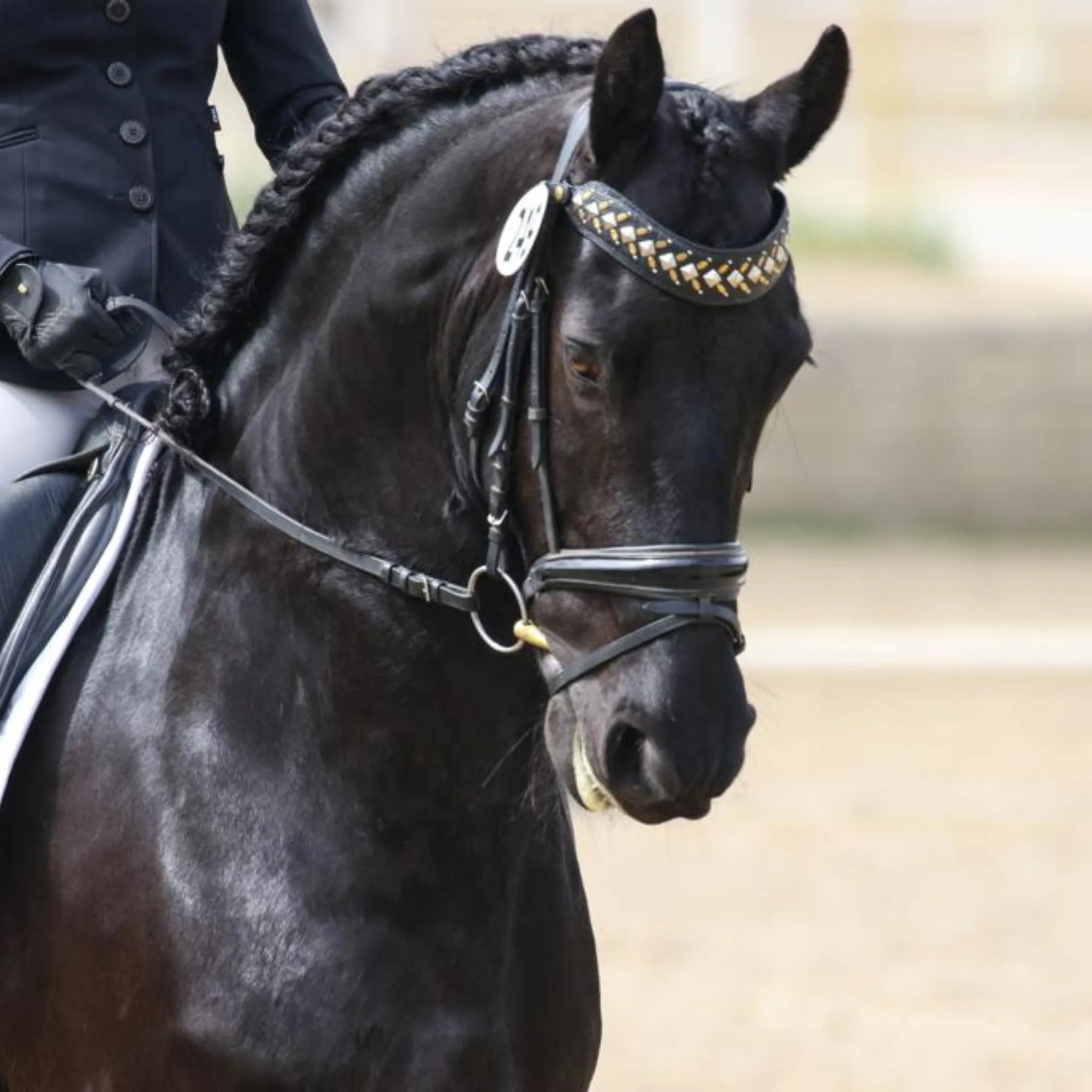 Zahara Browband