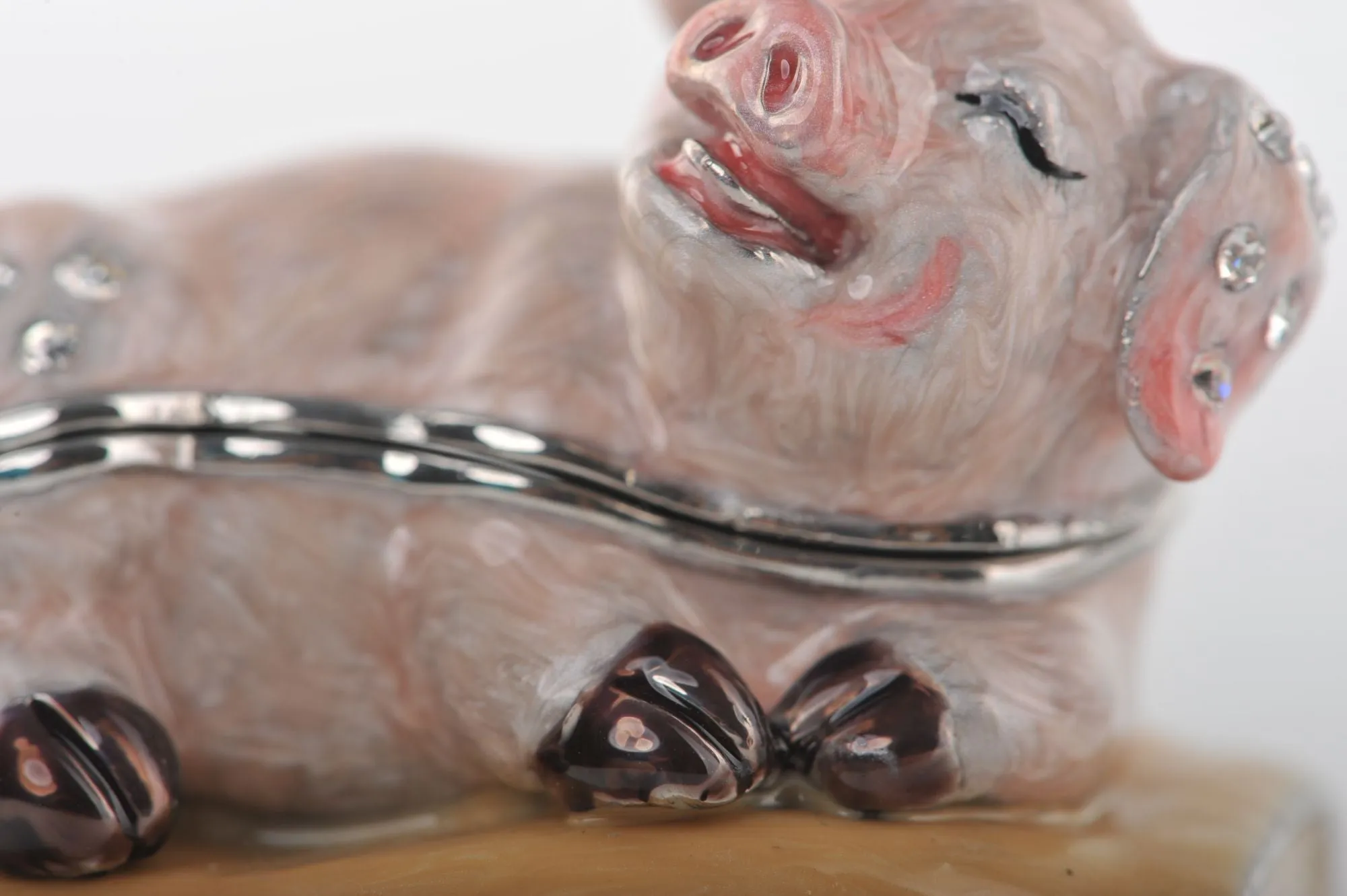 Zodiac Pig Laying on Hand