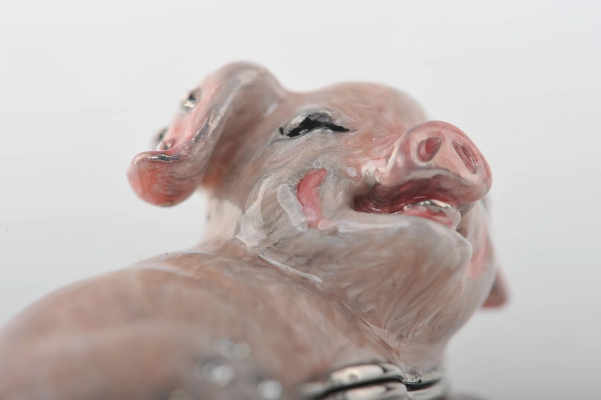 Zodiac Pig Laying on Hand