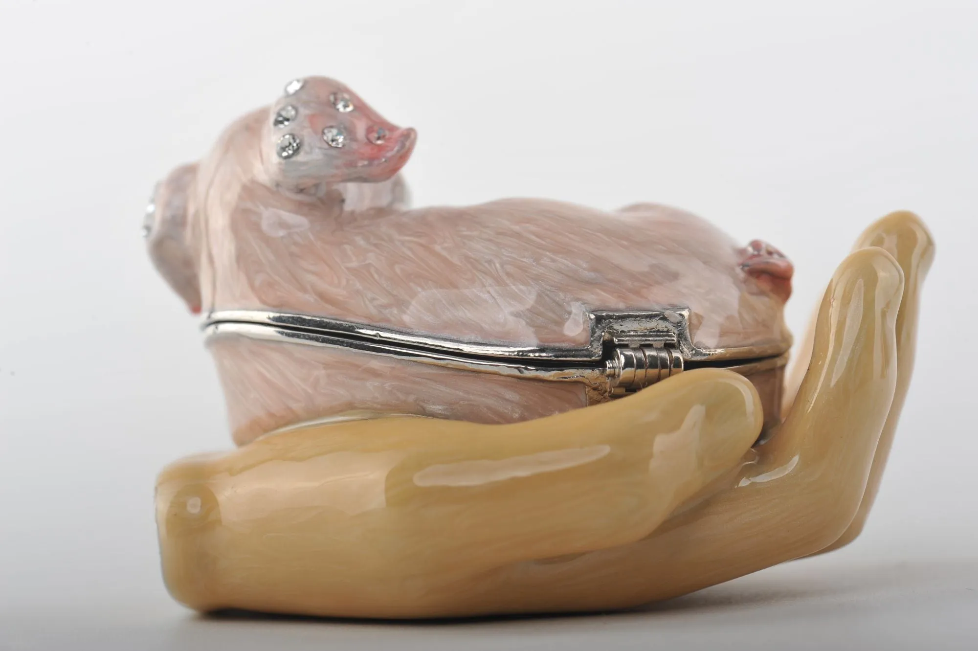 Zodiac Pig Laying on Hand