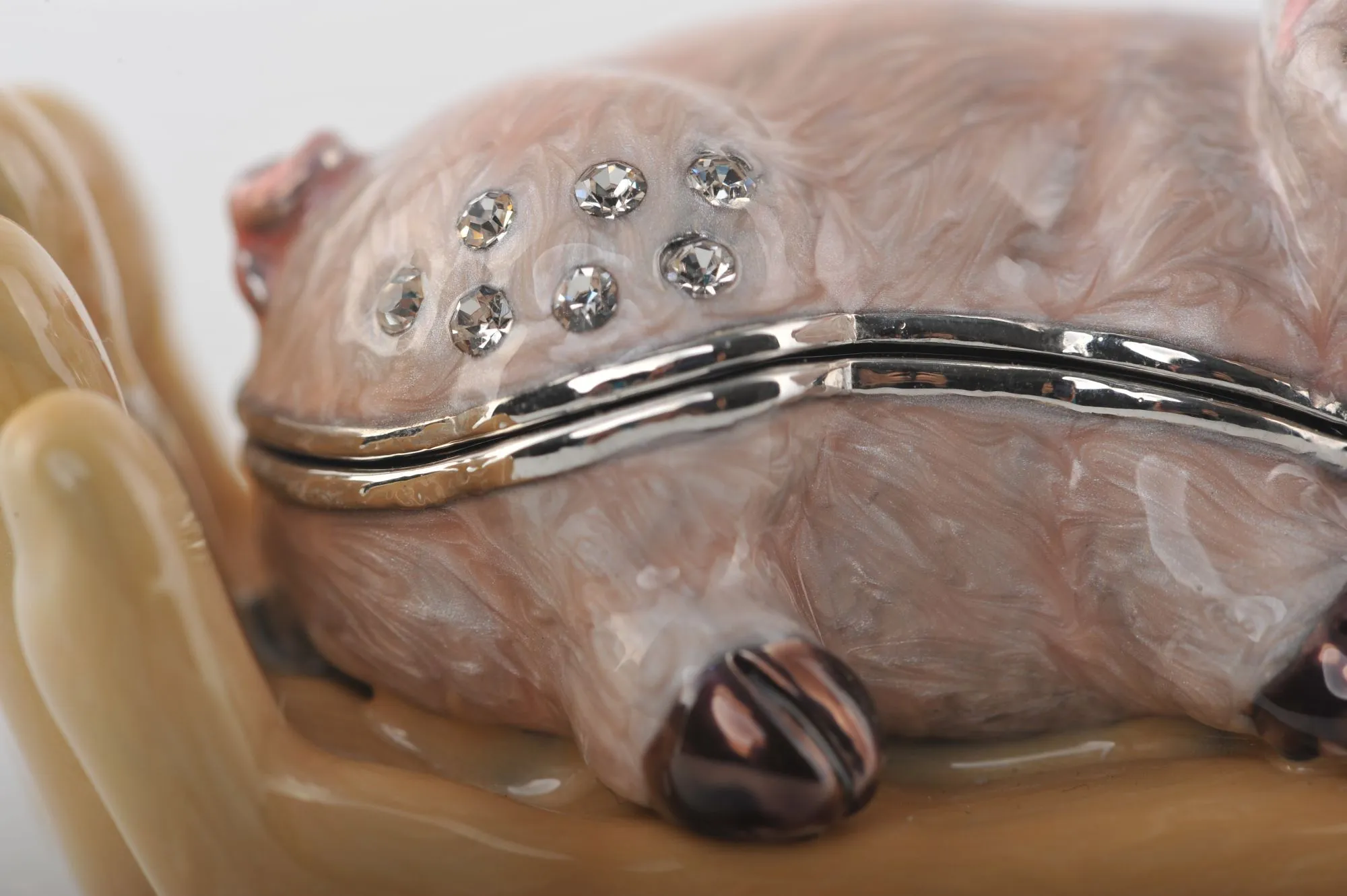 Zodiac Pig Laying on Hand