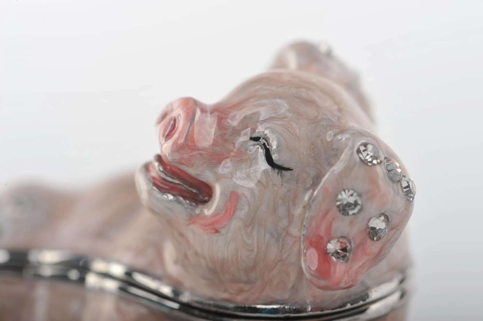 Zodiac Pig Laying on Hand
