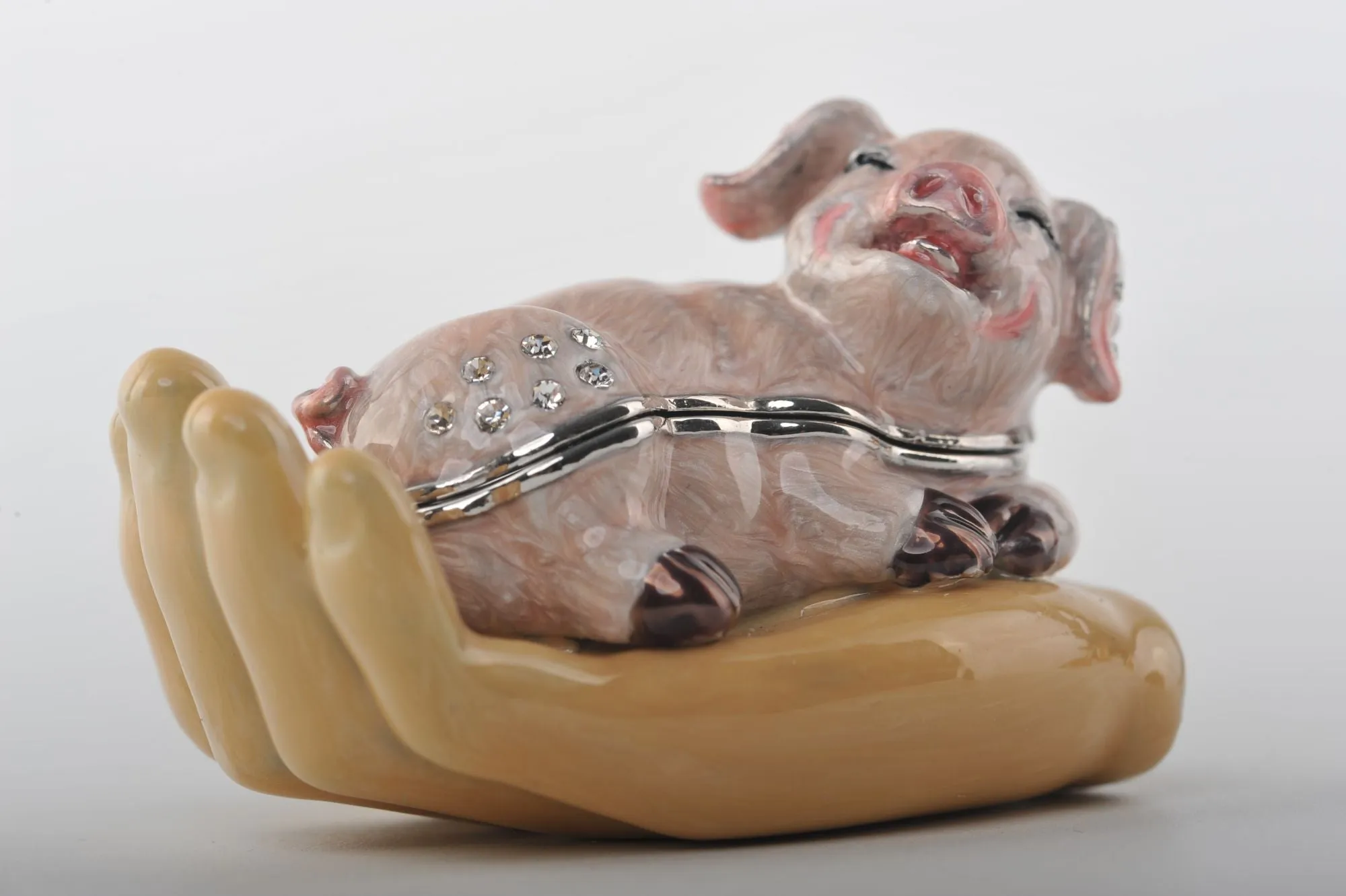 Zodiac Pig Laying on Hand